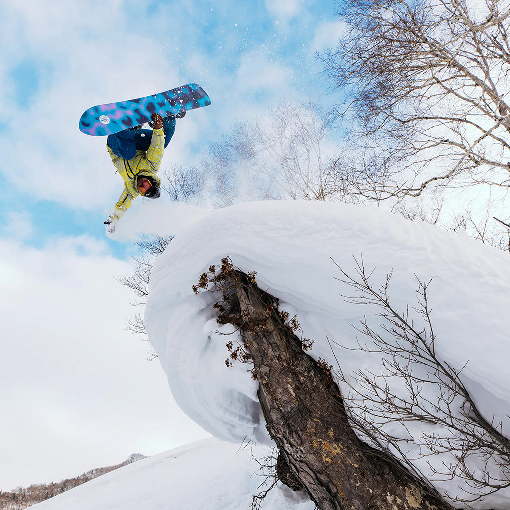 Family Tree Sketch Artist Camber Snowboard