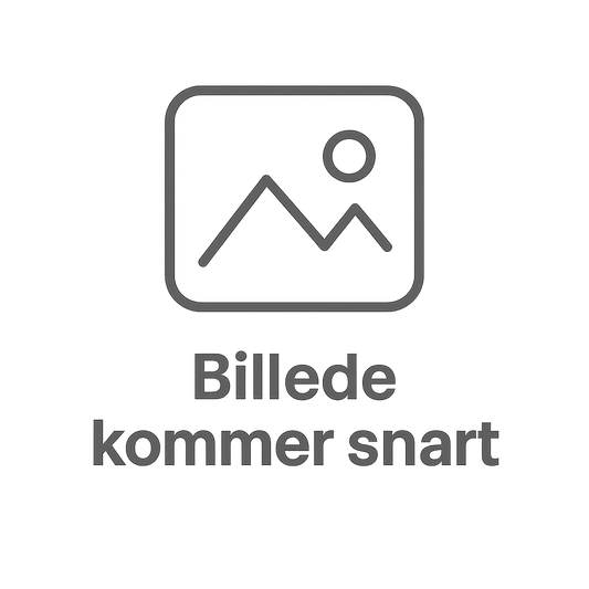 Valve Cap and Ring (red)